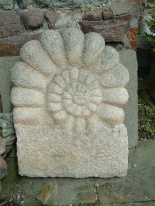 8) Fossil