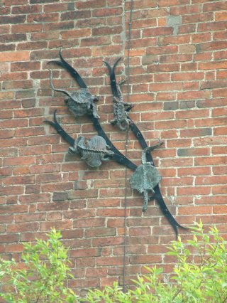 9) Kuehneusaurus