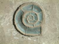 Shell Forms 2