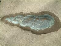 Shell Forms 5
