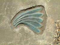 Shell Forms 6