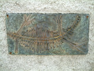 3) Skeletal Relief