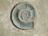 Shell Forms 2