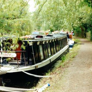 Festival of the River 2000