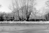 Snow Fall January 2001