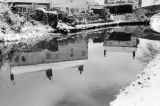 Snow Fall January 2001