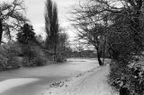 Snow Fall January 2001
