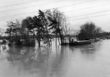 Floods November 2000